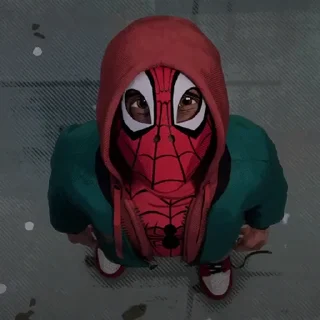 Sticker from Spider-Verse [@TodorokiShouto]