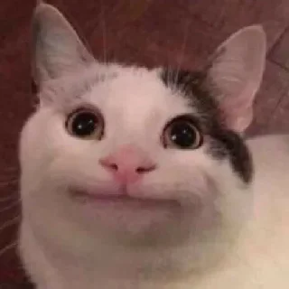 😀 emoji I wish cars were real :(  [byS Telegram sticker 13 of 89