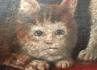 🐱 emoji Darklight's Finest Selection Telegram sticker 22 of 52