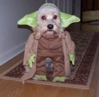 Sticker from Famous @MyselfMeandIo