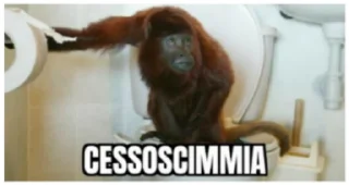🐵 emoji pianeta delle scimmie Telegram sticker 21 of 87