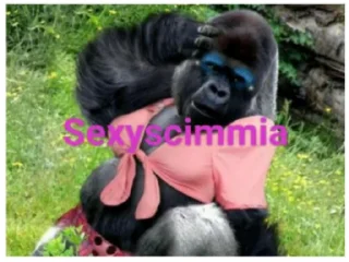 🐵 emoji pianeta delle scimmie Telegram sticker 19 of 87