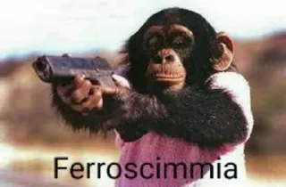 🐒 emoji Scimmie. - @Leoatomic Telegram sticker 5 of 16