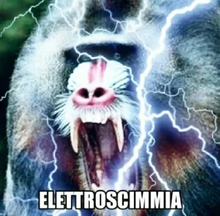 🐒 emoji Scimmie. - @Leoatomic Telegram sticker 14 of 16