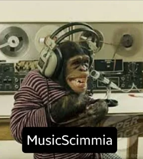 🐒 emoji Scimmie. - @Leoatomic Telegram sticker 9 of 16