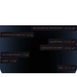 👍 emoji Naz ablanız Telegram sticker 19 of 36