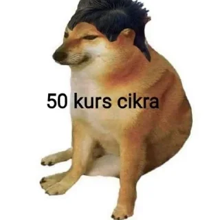 🐶 emoji @Demirsporludur @AsenaUserBot Paketi 1 Telegram sticker 2 of 43
