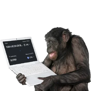 🦍 emoji Ape Team 500 Telegram sticker 11 of 88