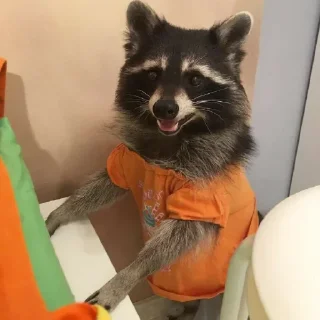 😁 emoji Racoon's return (Marco[Lw]) Telegram sticker 11 of 120