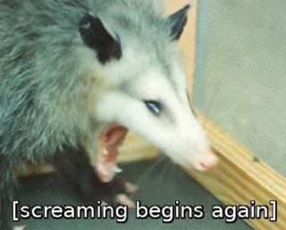😫 emoji Opossum Telegram sticker 14 of 39