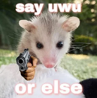 👊 emoji Opossum Telegram sticker 20 of 39