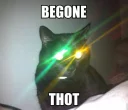 Sticker from No Thots Allowed