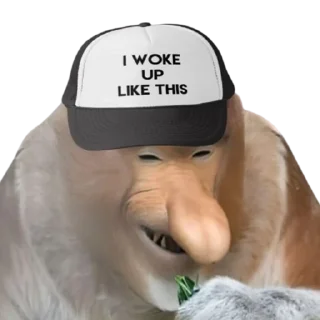 🥱 emoji PENOSE HATS Telegram sticker 9 of 35