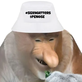 👆 emoji PENOSE HATS Telegram sticker 23 of 35