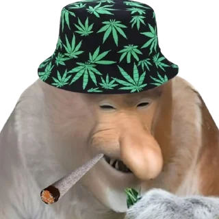 🚬 emoji PENOSE HATS Telegram sticker 20 of 35
