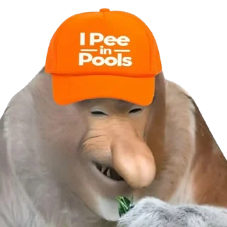 🏊 emoji PENOSE HATS Telegram sticker 19 of 35