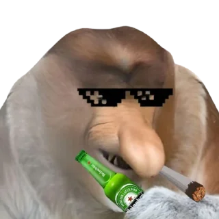 🕶 emoji PENOSE HATS Telegram sticker 16 of 35