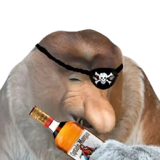 🏴‍☠️ emoji PENOSE HATS Telegram sticker 15 of 35