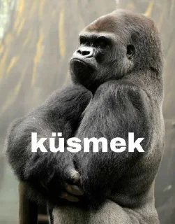 😒 emoji @kimbukatilcivciv | 🌃 @SiriUserBot Paketi | 1 Telegram sticker 20 of 59