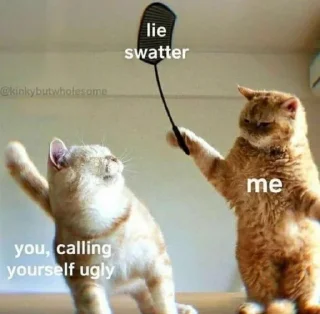 🐱 emoji 𝗰𝗮𝘁𝘀 ,,, @MoodPacks Telegram sticker 17 of 110