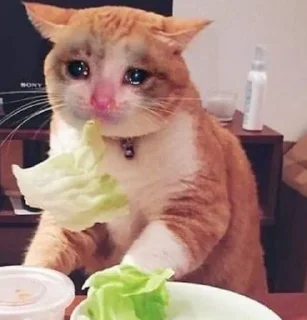 🐱 emoji 𝗰𝗮𝘁𝘀 ,,, @MoodPacks Telegram sticker 13 of 110