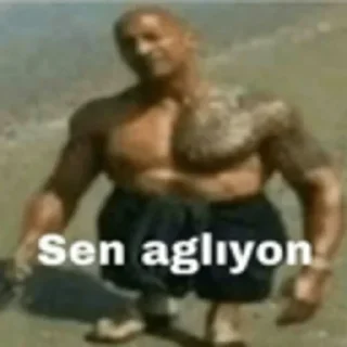 😳 emoji çok kral sticker | @hocam Telegram sticker 13 of 55