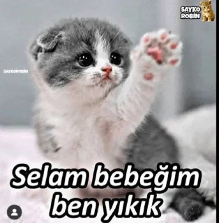 🤐 emoji @BabyJale @DTOUserBot Paketi 1 Telegram sticker 8 of 22