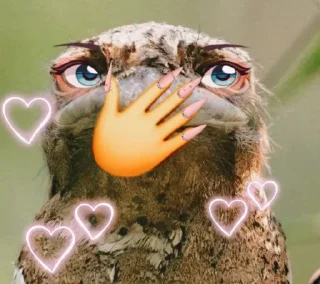 🪃 emoji Bird Telegram sticker 6 of 71