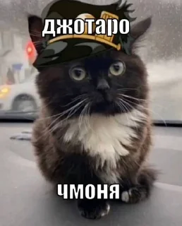 😈 emoji чмоня:>>> х люблю маму Telegram sticker 7 of 23