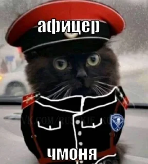 😄 emoji чмоня:>>> х люблю маму Telegram sticker 13 of 23