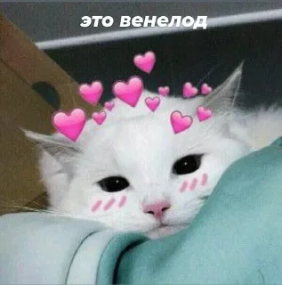 ❤️ emoji люблю маму х венелодка Telegram sticker 11 of 15