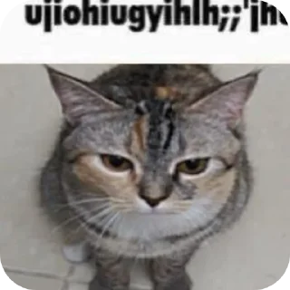 Sticker from the