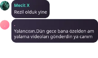 🙆‍♀️ emoji BİZ OLAY ÇIKARMIYORUZ YAPIYORU pack by @QuotLyBot Telegram sticker 20 of 112