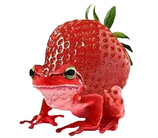 🍓 emoji BOBPACK 2 Telegram sticker 21 of 88