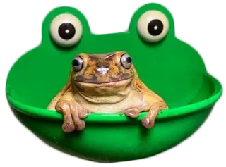 🛀 emoji BOBPACK 2 Telegram sticker 12 of 88