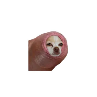 😄 emoji Buongiorno a tutti Telegram sticker 5 of 15