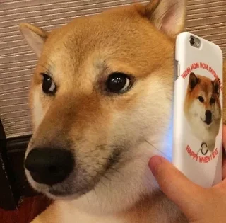 🤳 emoji Ja. Telegram sticker 14 of 42