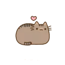 🐱 emoji Pusheendue Telegram sticker 19 of 25