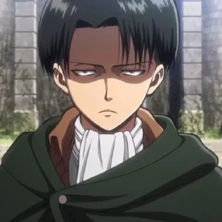 ⚔ emoji Levi Ackerman | Attack On Titan @longroadtohell Telegram sticker 24 of 120