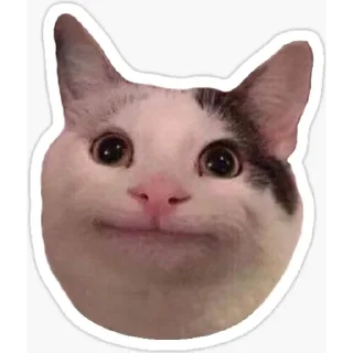 Sticker from Nigger