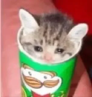 🥺 emoji @asyaayoll @AsenaUserBot Paketi 1 Telegram sticker 14 of 120