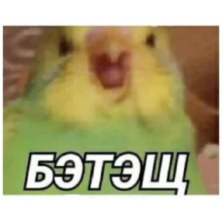 ⚪️ emoji Татарабу Telegram sticker 2 of 30