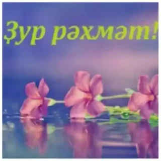 ⚪️ emoji Татарабу Telegram sticker 9 of 30