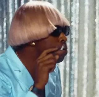 🚬 emoji Tyler, The Creator Telegram sticker 15 of 32