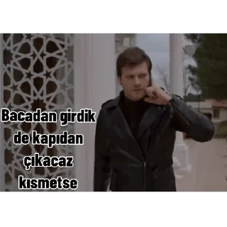 🎉 emoji Kuzey Güney v3 Telegram sticker 16 of 20