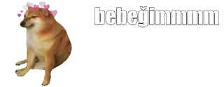 🤔 emoji @Caawresamin @AsenaUserBot Paketi 1 Telegram sticker 22 of 46
