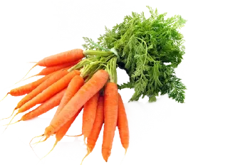 🥕 emoji PEAT Telegram sticker 5 of 11