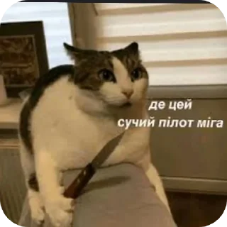 Sticker from Чисто для чата СС