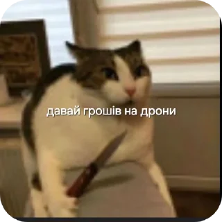 Sticker from Чисто для чата СС