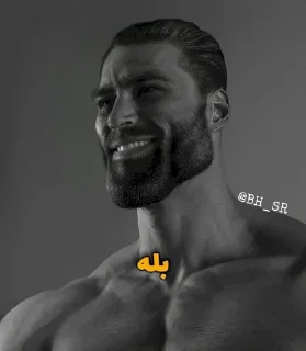 👍 emoji [Giga Chad] | @BH_SR Telegram sticker 13 of 35